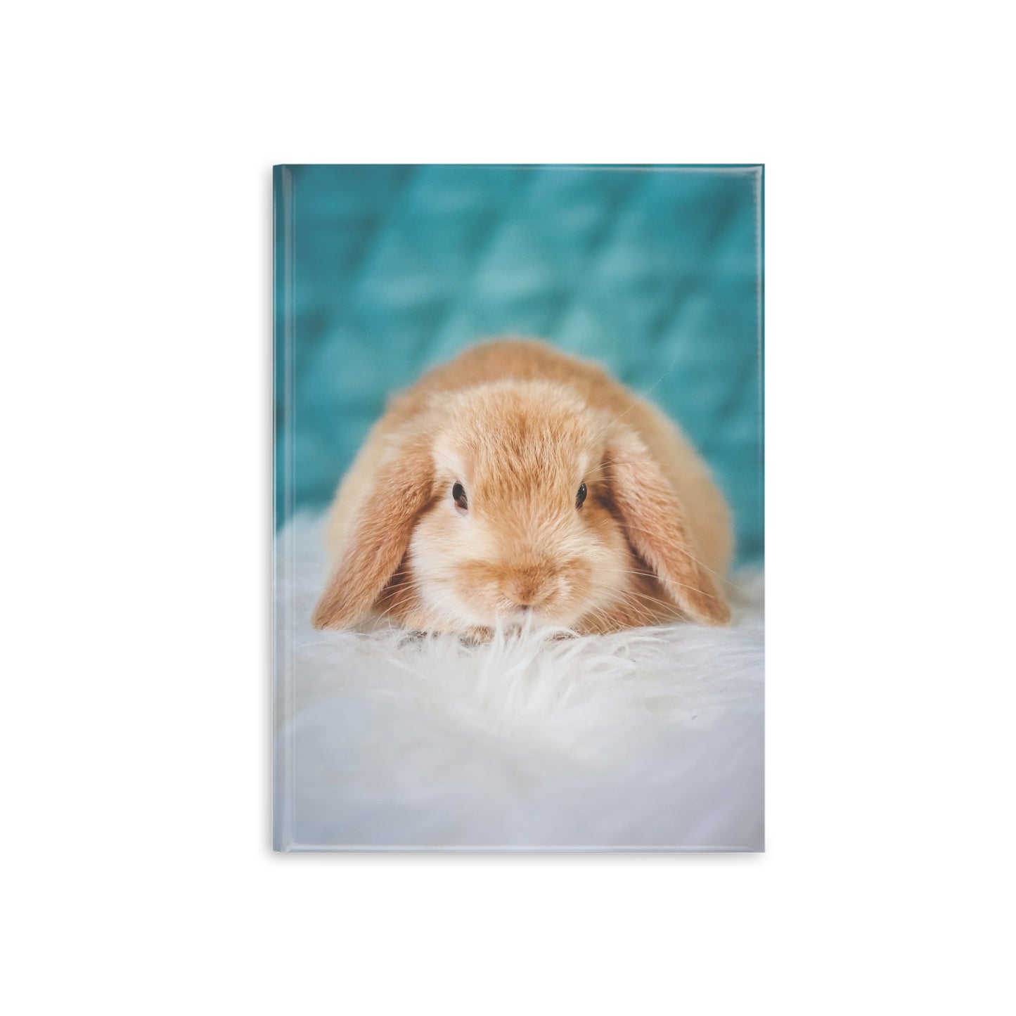 Cute Rabbit Hardcover Notebook with Puffy Covers - Ideal for Students and Animal Lovers