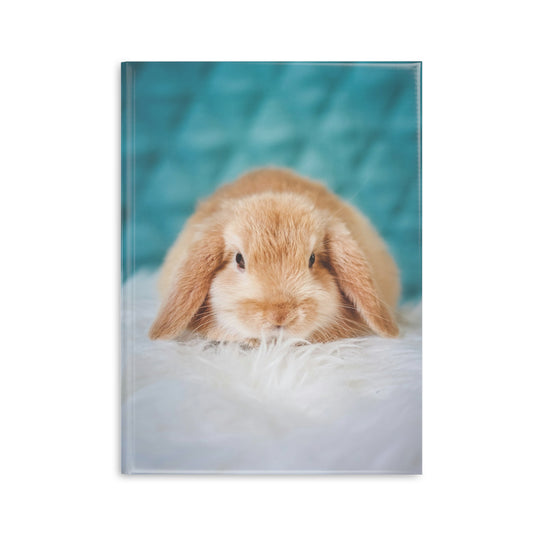 Cute Rabbit Hardcover Notebook with Puffy Covers - Ideal for Students and Animal Lovers